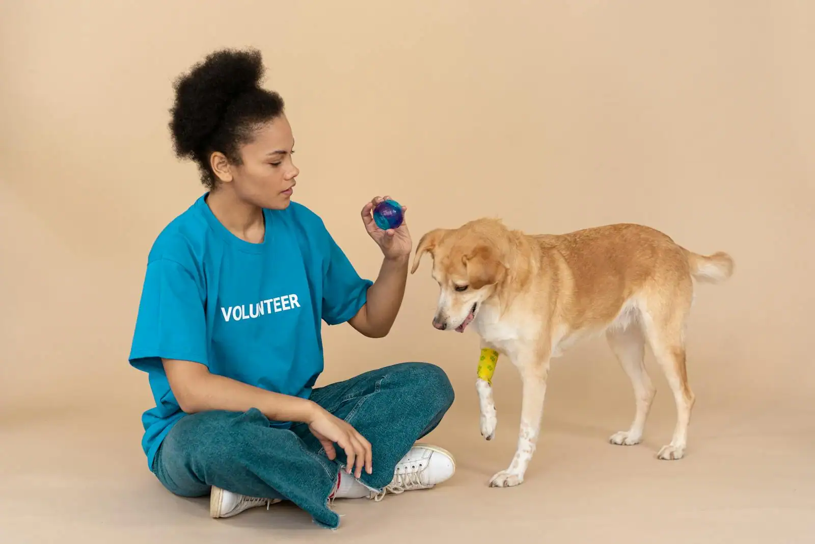Une bénévole de refuge joue avec un chien sauvé en attente d'adoption
