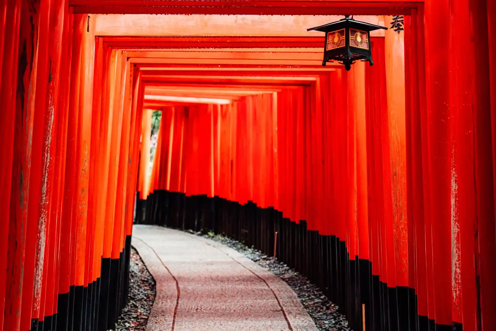 Une allée de portails torii rouges formant un tunnel dans un sanctuaire shinto au Japon