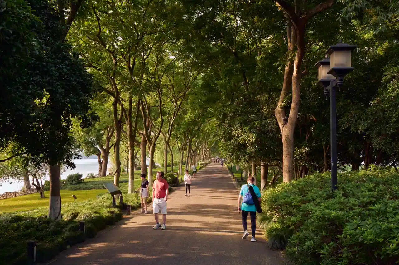 Promeneurs sur une allée bordée d'arbres au bord de l'eau, dans la lumière de fin de journée